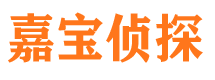 漠河调查公司